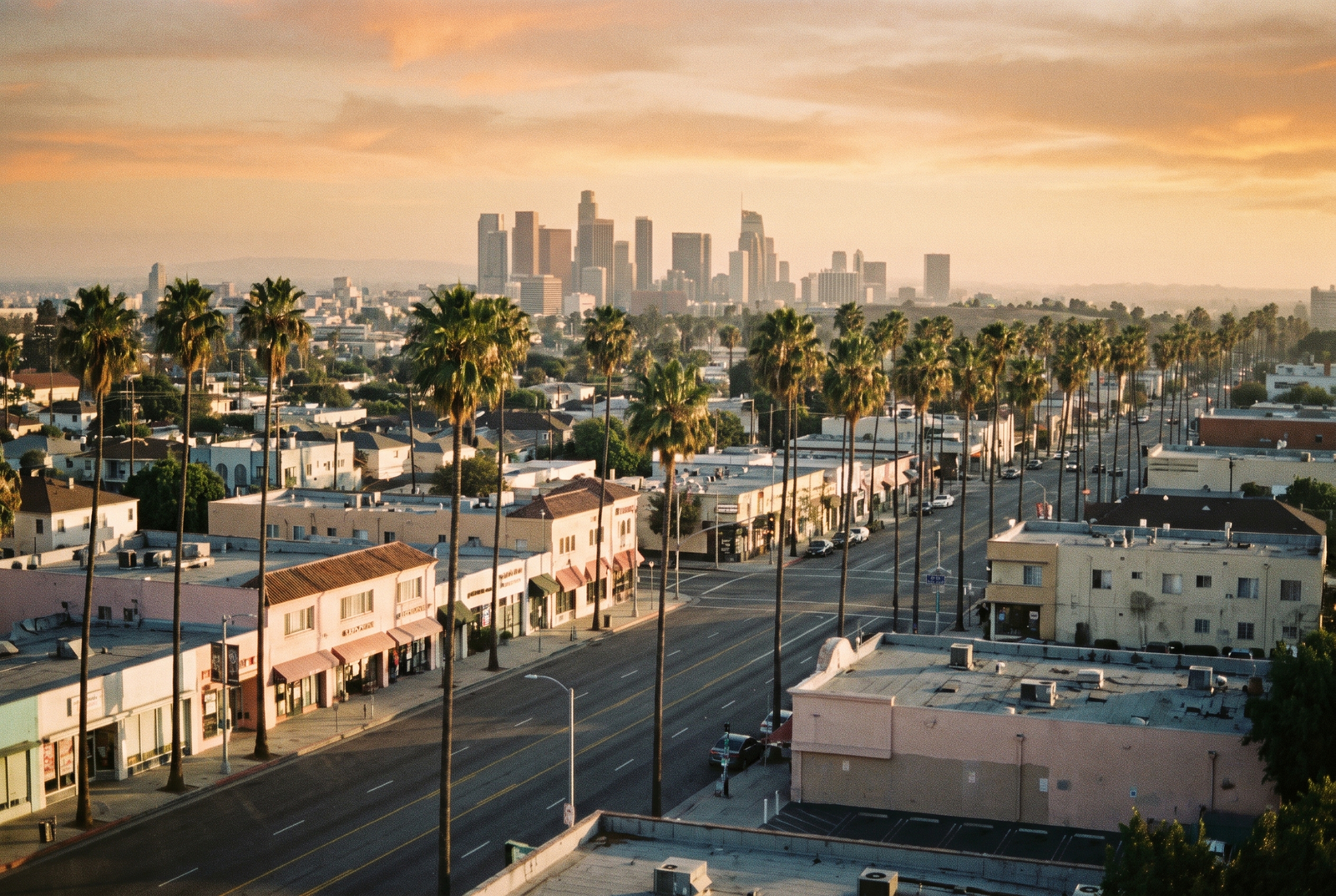 Los Angeles neighbourhood boulevard at golden hour